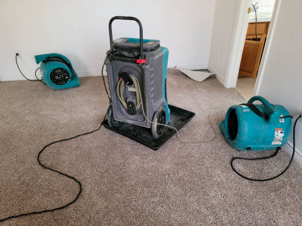 Best Flooded house restoration  in Derby, CT