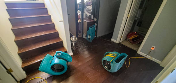 Best Residential water damage restoration  in Derby, CT