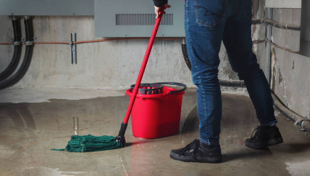  Derby, CT Water damage restoration Pros