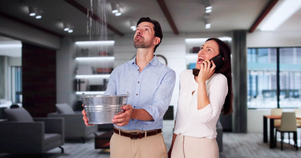 Best 24/7 water damage repair  in Derby, CT